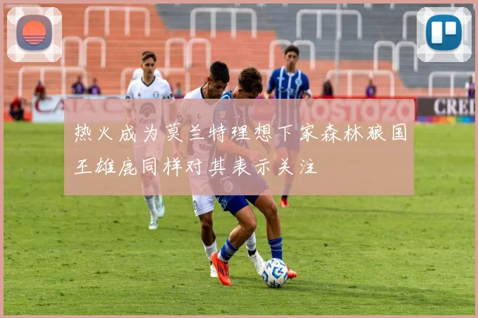 热火成为莫兰特理想下家森林狼国王雄鹿同样对其表示关注