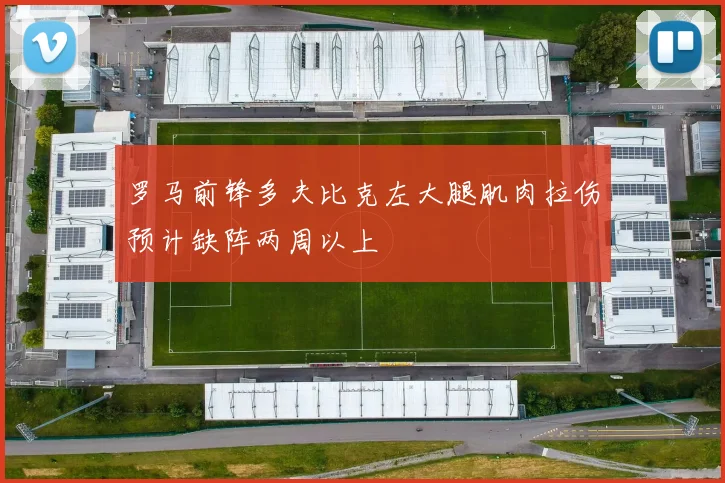罗马前锋多夫比克左大腿肌肉拉伤预计缺阵两周以上